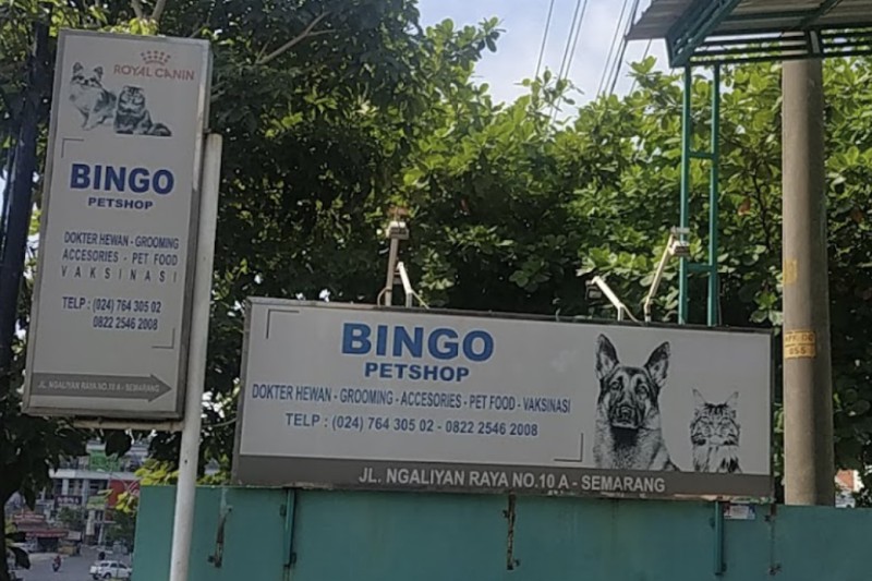 Bingo - Klinik Hewan & Petshop