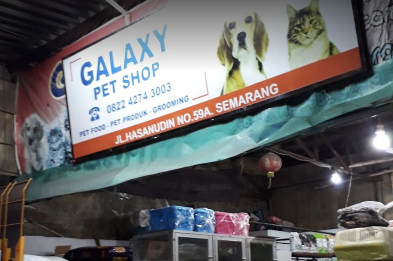 Galaxy Pet Shop - Hasanudin