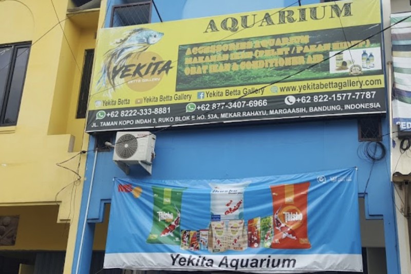 Yekita Betta Aquarium