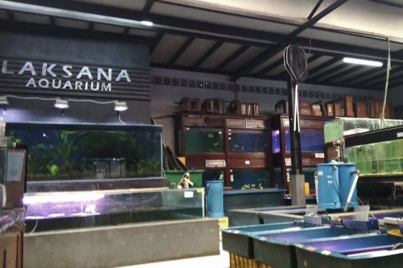 Laksana Aquarium