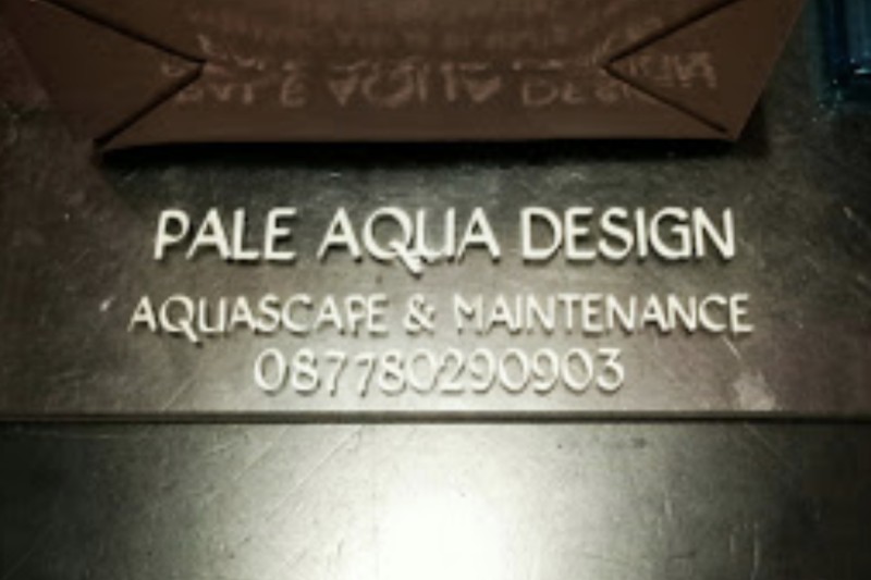 Pale Aqua Design Aquascape