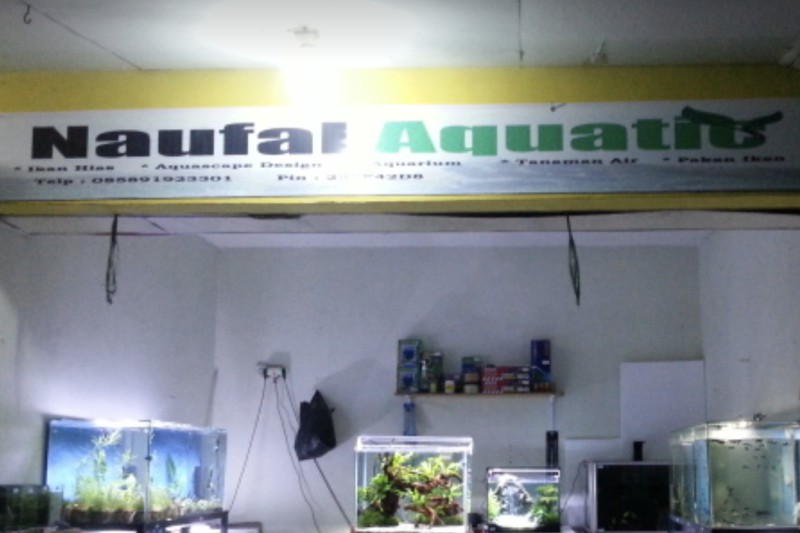 Naufal Aquatic