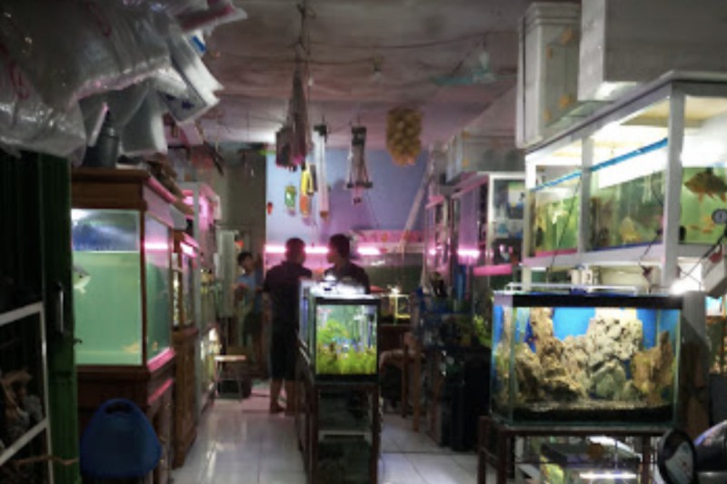 Makmur Aquarium