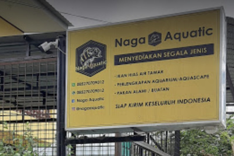 Naga Aquatic