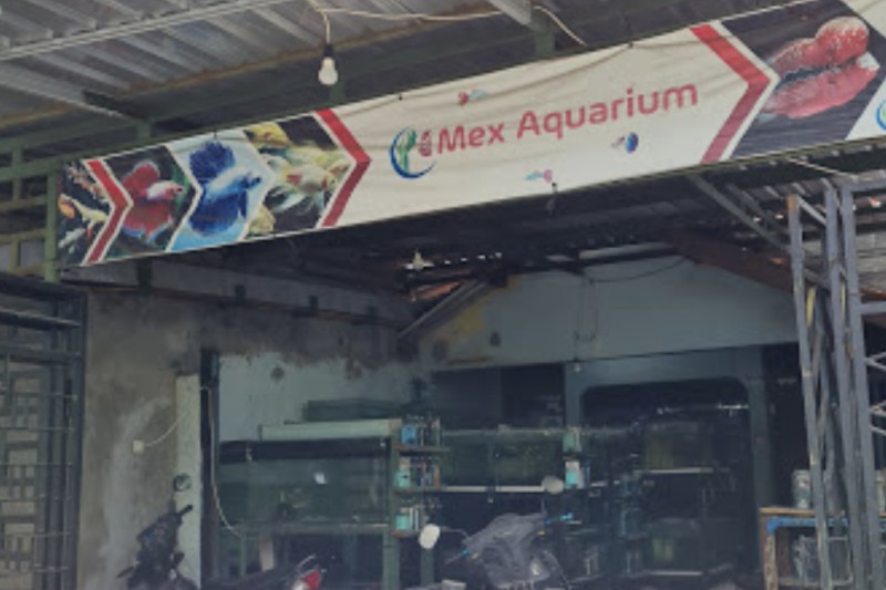 Mex Aquarium