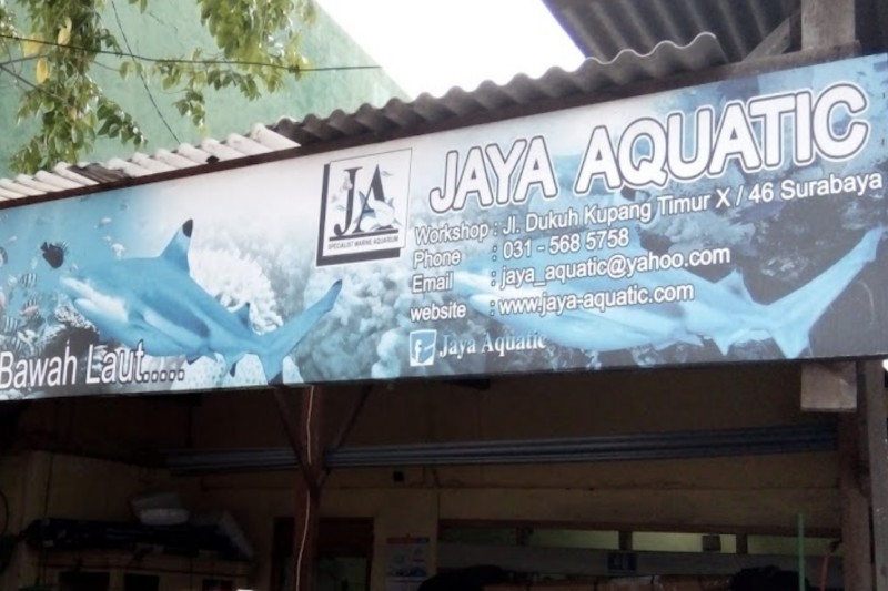 Jaya Aquatic
