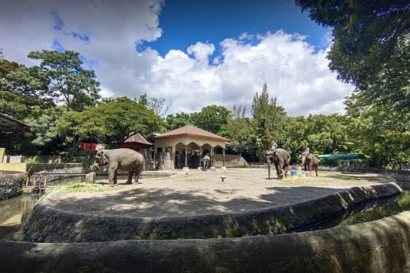 Gembira Loka Zoo