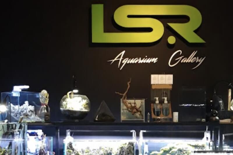 LSR Aquarium Gallery