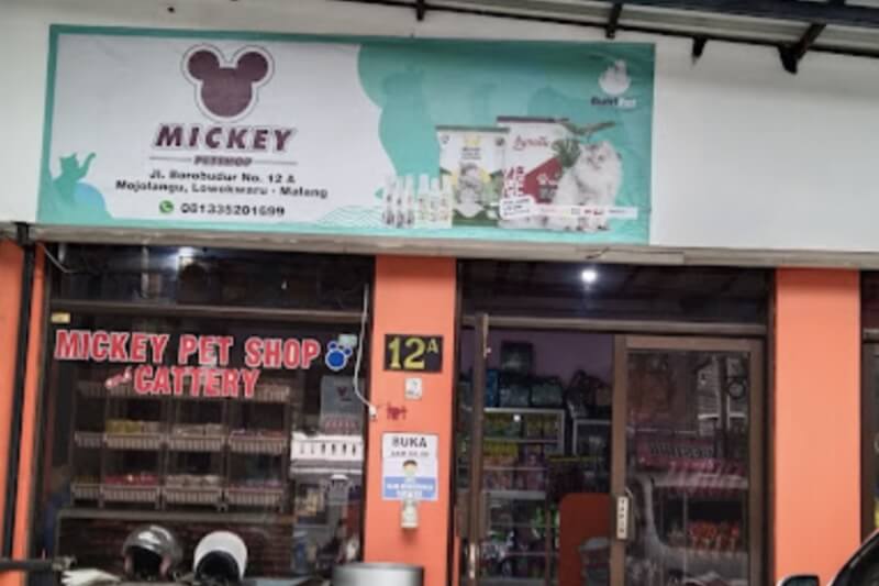 Mickey Pet Shop