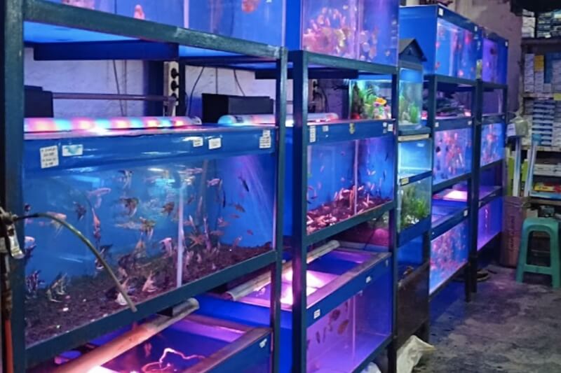 Jatake Aquarium