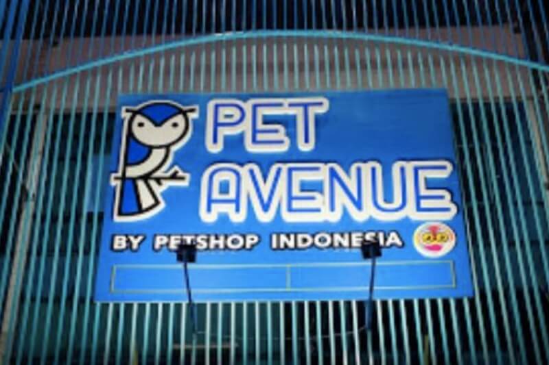 Pet Avenue by Petshop Indonesia