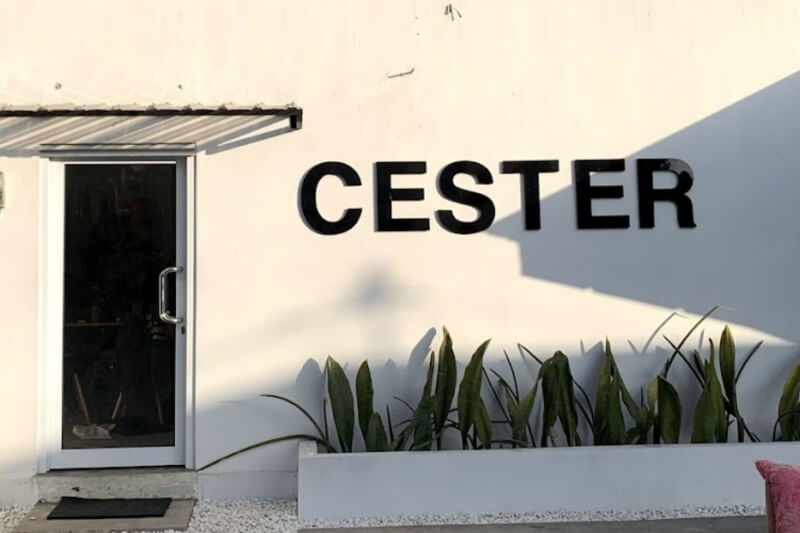 Cester Studio