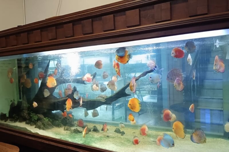 Toko Aquarium Bali