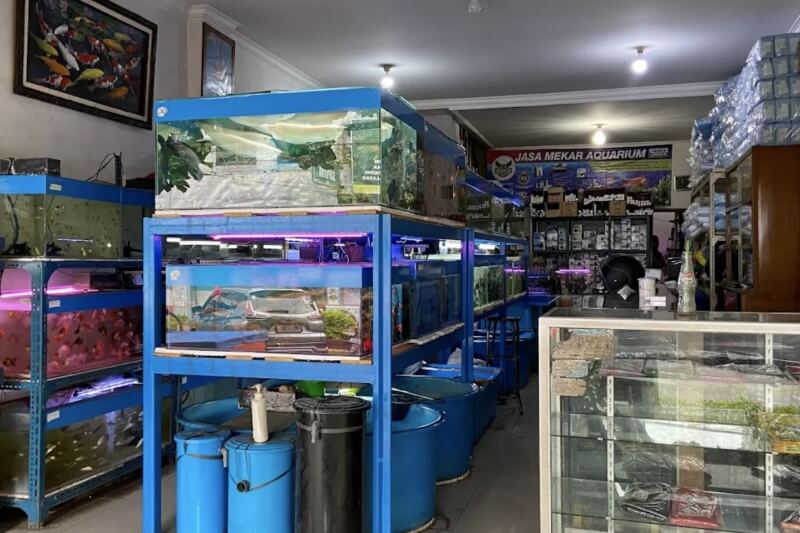 Toko Aquarium Cianjur
