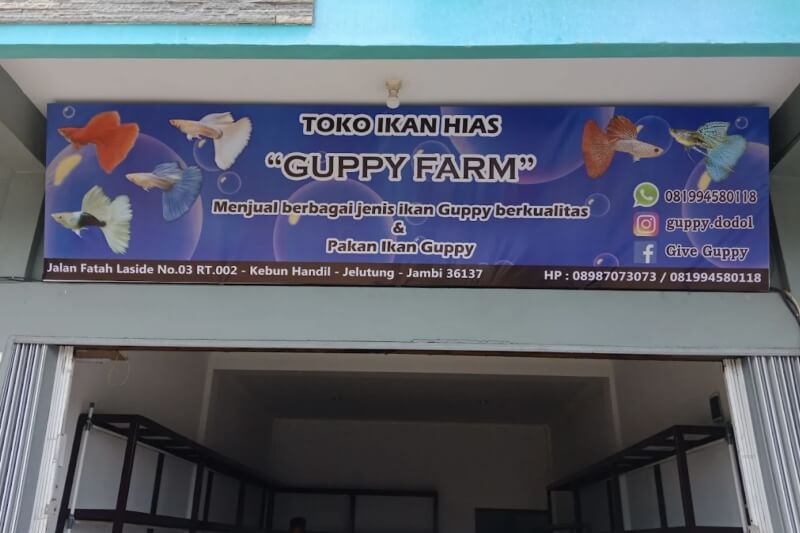 Toko Aquarium Jambi