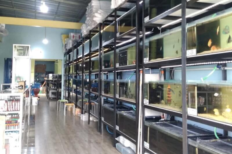Toko Aquarium Klaten