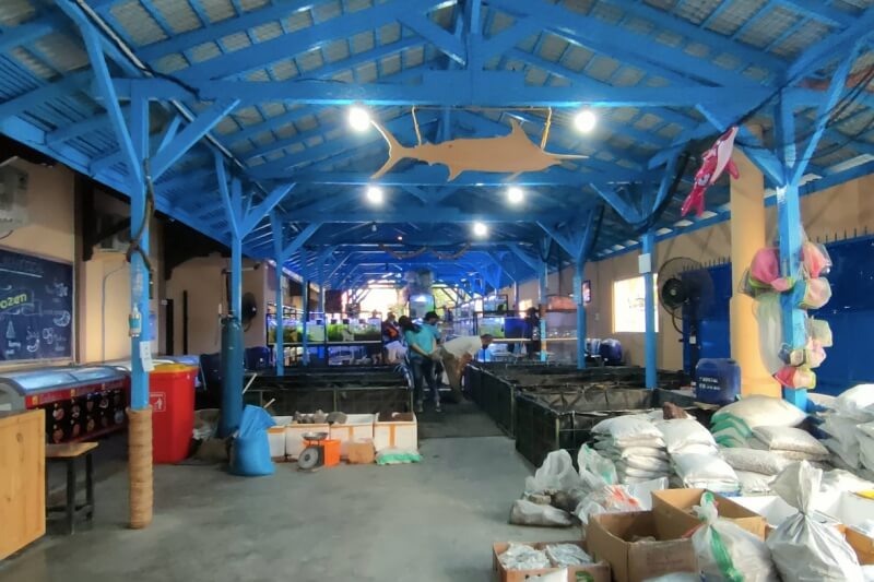 Toko Aquarium Tegal